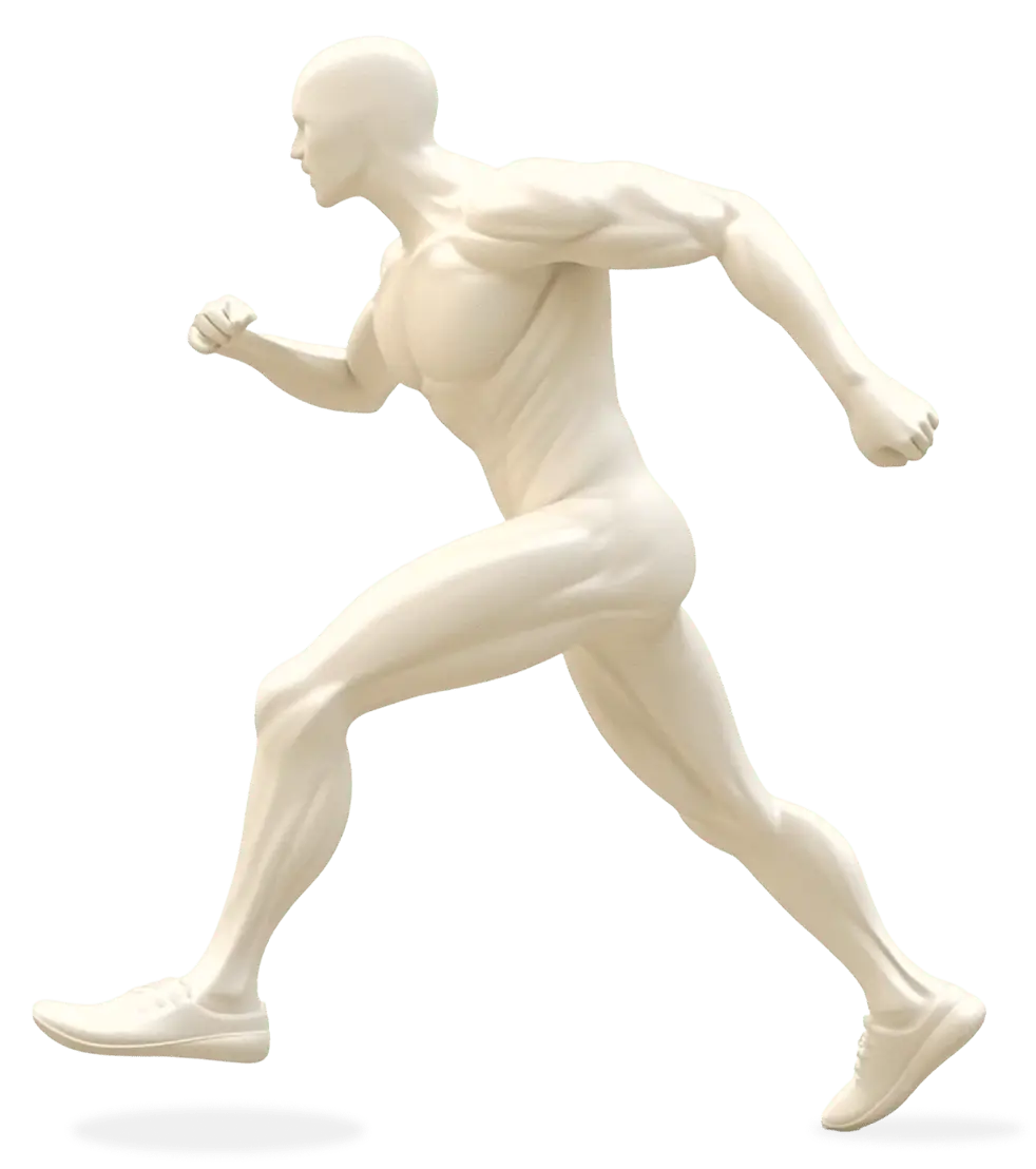 Body model highlighting the areas we treat